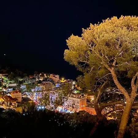 Le Coq -splendide Vue -magnifique Piscine -parking Appartement *