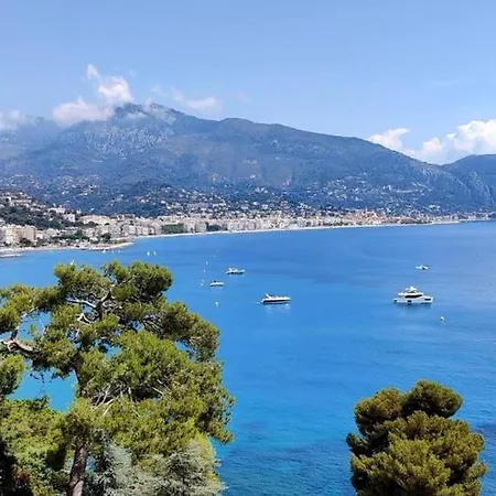 Le Coq -splendide Vue -magnifique Piscine -parking