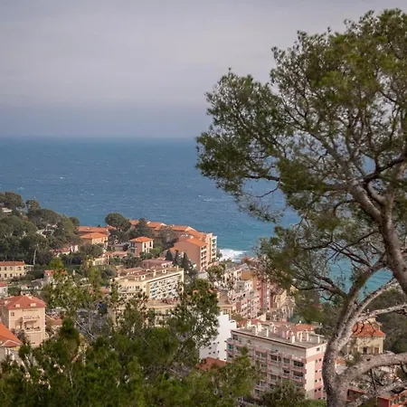Le Coq -splendide Vue -magnifique Piscine -parking Appartement *