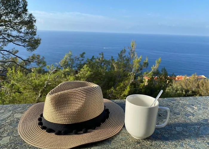 Le Coq Splendide Vue - Beautiful Pool - Parking カップダイユ